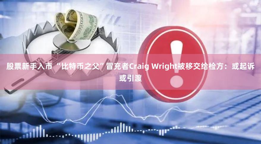 股票新手入市 “比特币之父”冒充者Craig Wright被移交给检方：或起诉或引渡