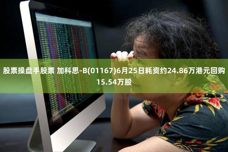 股票操盘手股票 加科思-B(01167)6月25日耗资约24.86万港元回购15.54万股