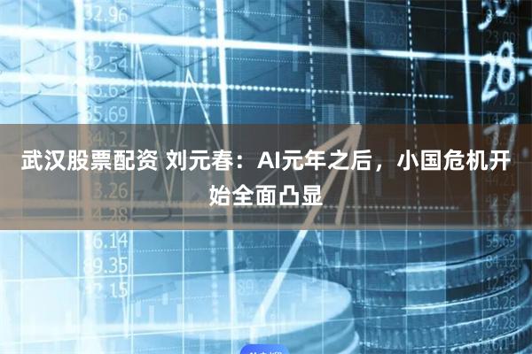 武汉股票配资 刘元春：AI元年之后，小国危机开始全面凸显