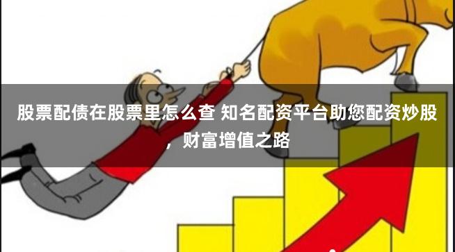 股票配债在股票里怎么查 知名配资平台助您配资炒股，财富增值之路