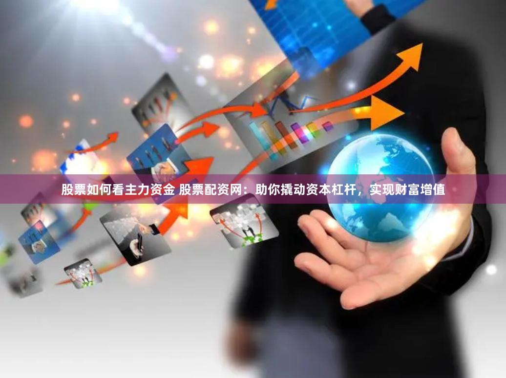 股票如何看主力资金 股票配资网：助你撬动资本杠杆，实现财富增值